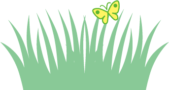 grass and butterfly